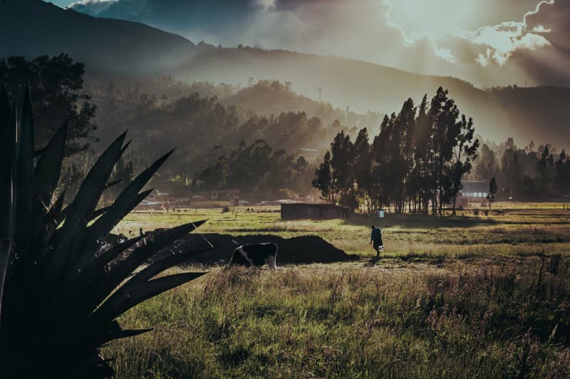 Paisaje campiña